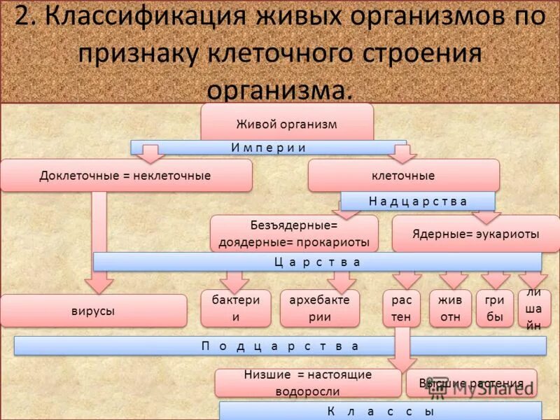 Количество живых организмов на земле