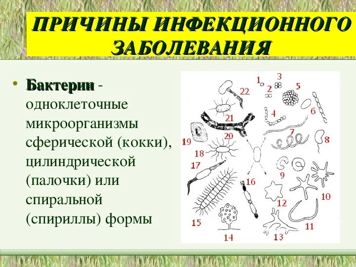 6 причин инфекции. Причины инфекционных заболеваний. причины инфекционных заболевайни. причины возникновения инфекционных заболеваний. причины инфекционных заболеваний человека.