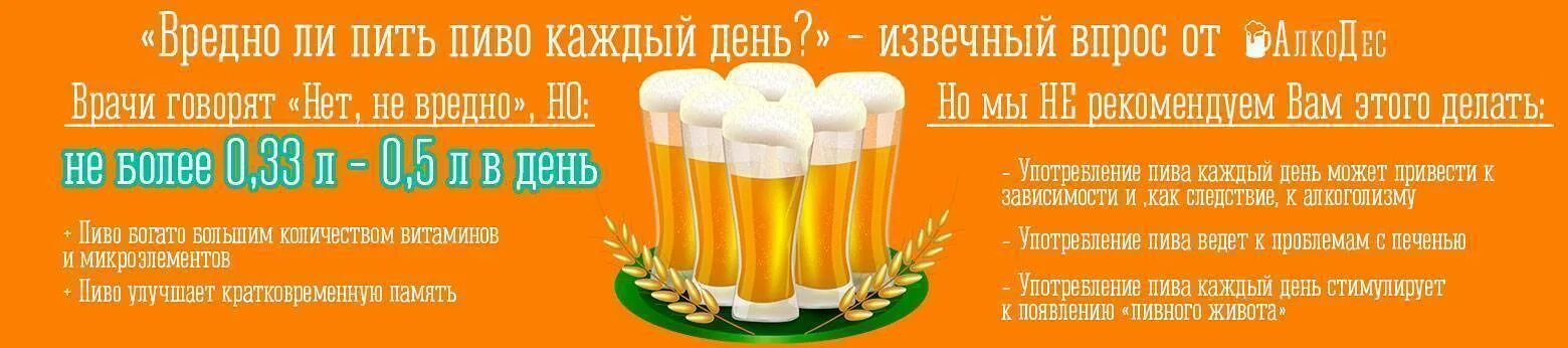 Как часто можно пиво. Пиво каждый день. Если пить пиво каждый день. Выпивал пиво каждый день.