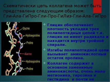 Выберите структуры в которых содержится белок коллаген
