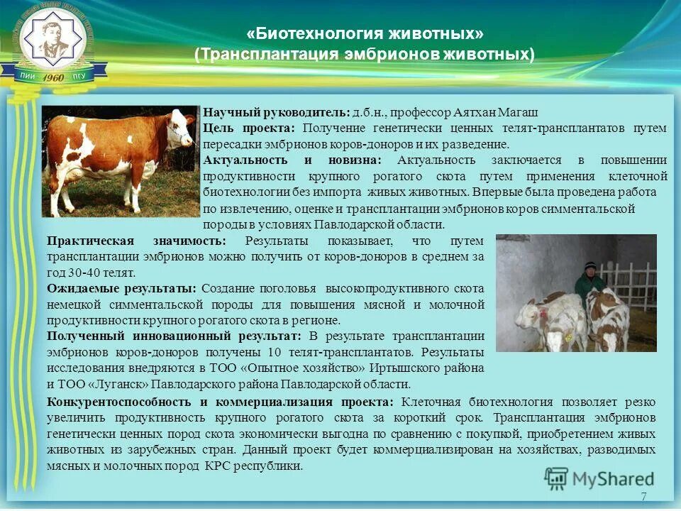 Трансплантация эмбрионов животных. Классификация бесплодия у с/х животных. Схема трансплантации эмбрионов крупного рогатого скота. Трансплантация эмбрионов. Трансплантация эмбрионов презентация.