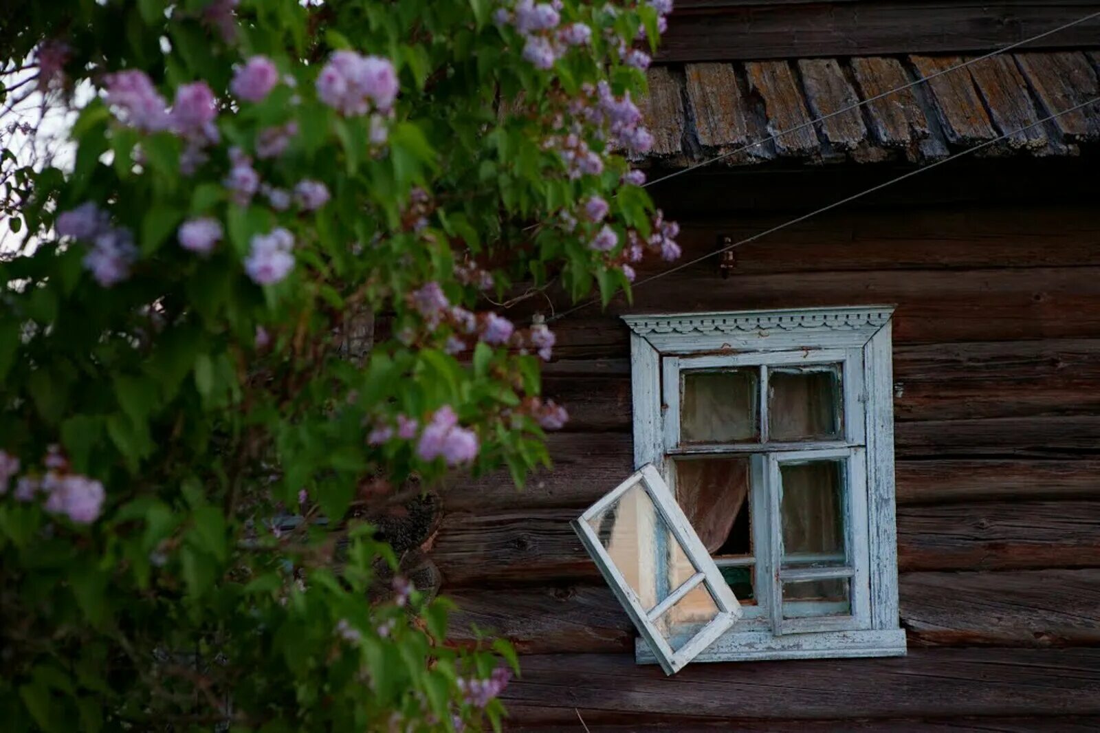 Деревенский домик. Старый домик. Старинные окна. Окно в деревенском доме.