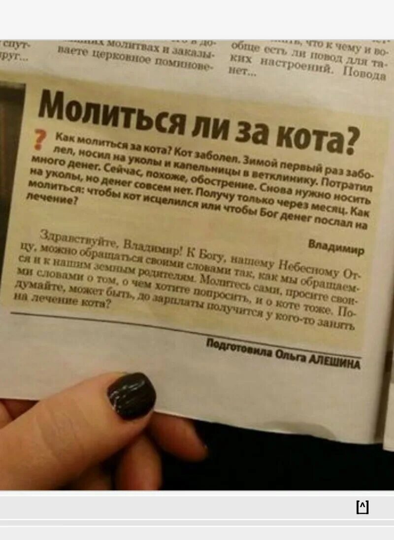 Молитва кота. Молитвы за кота. Молитва за домашнего питомца.