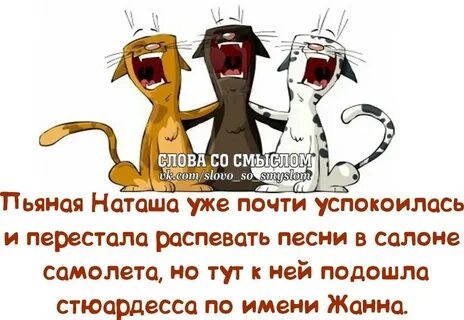 Прикольные картинки про жизнь со смыслом смешные