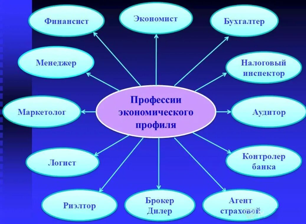 Специальности связанные с экономикой. Профессии связанные с экономикой. Экономические процессии. Виды экономических профессий.