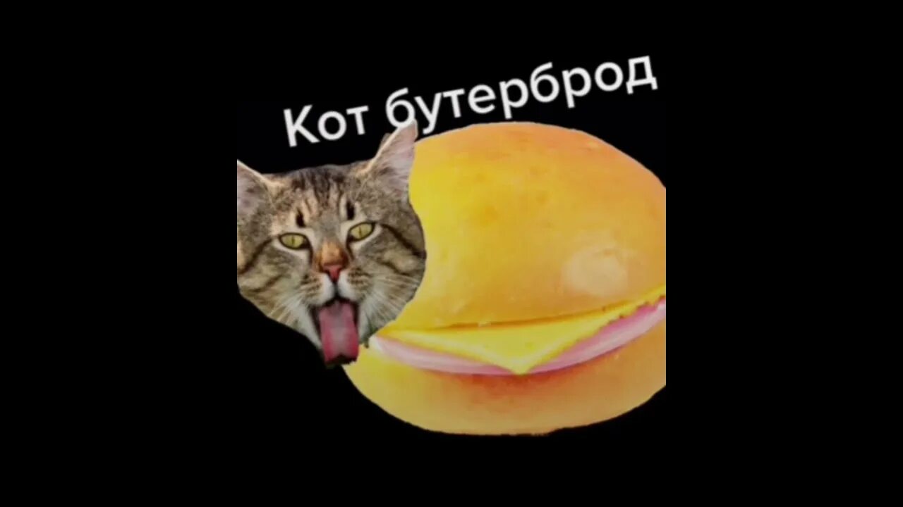 Мышка сосиска крыска ириска кот. Кот бутерброд. кот ириска. мышка сосиска крыска ириска кот бутерброд авокадо бегемот. кошка картошка кот бутерброд.
