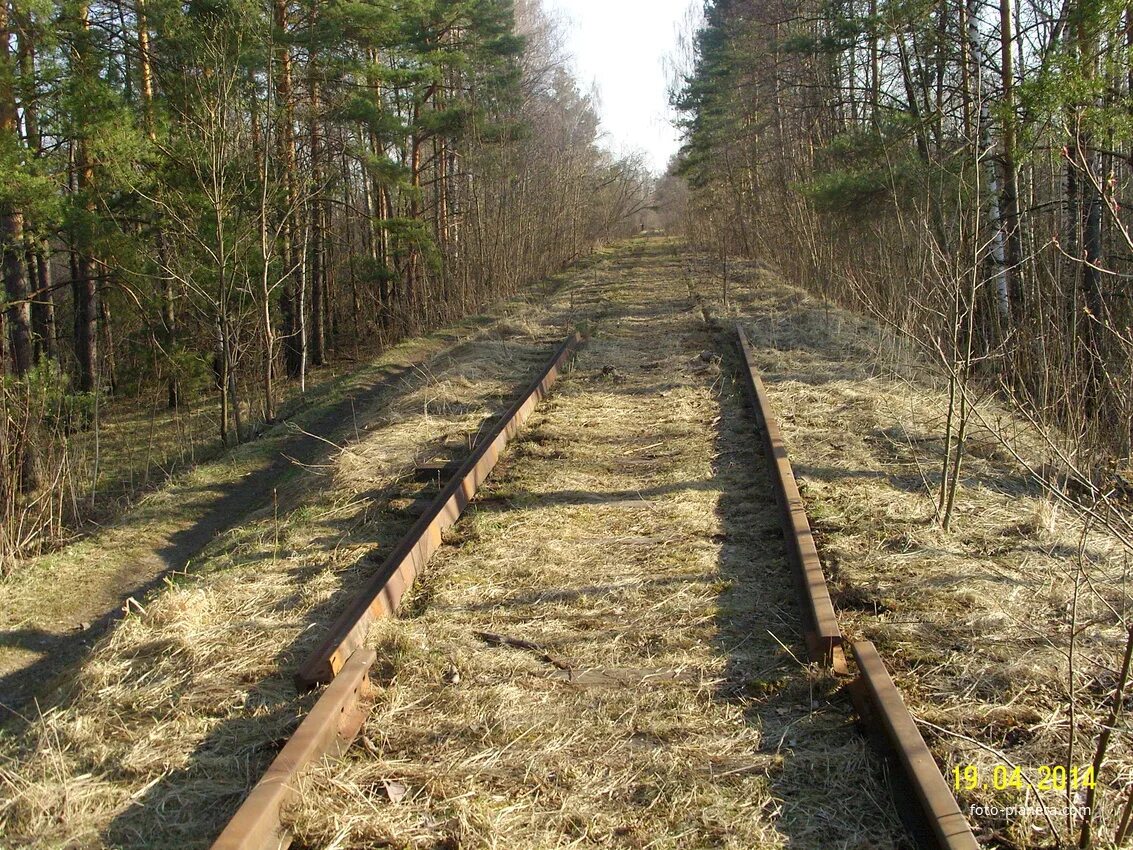 Разбор железная дорога. Кривандино Шатурский район. Село Кривандино Шатурского района. Кривандино Шатура. Кривандино ферма.