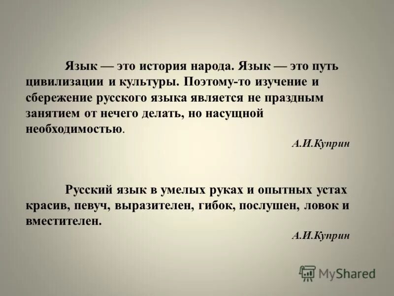 сбережение и изучение языка