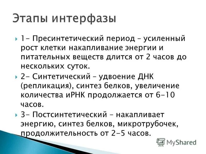 Стадии интерфазы. Этапы интерфазы. Характеристика периодов интерфазы. Стадии интерфазы пресинтетический. 3 этапа интерфазы