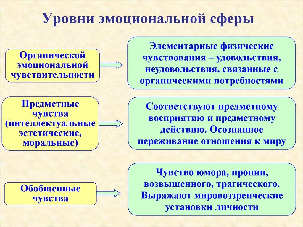 Предметно чувственная. Структура эмоциональной сферы человека. Эмоциональная сфера личности в психологии. Уровни эмоциональной сферы. Уровень развития эмоциональной сферы.