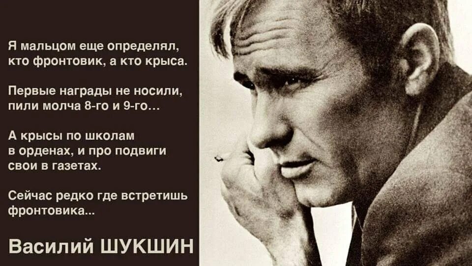 Героев отличают упрямство и динамизм шукшин. Высказывания Василия Шукшина. Шукшин о ветеранах.