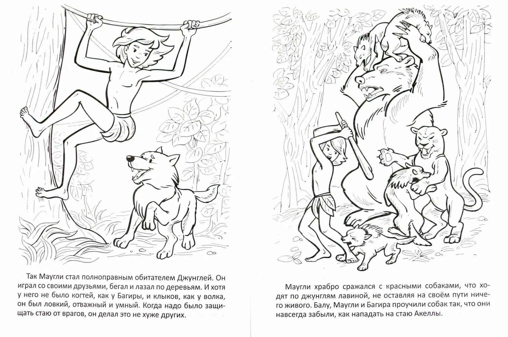 Рисунок сюжета для Маугли. Маугли братья Маугли. Братья Маугли иллюстрации к книге. Братья Маугли книга. Маугли читательский дневник 3 класс