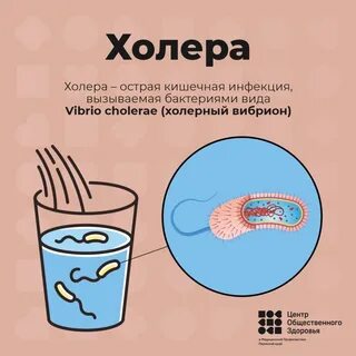 Группа холеры
