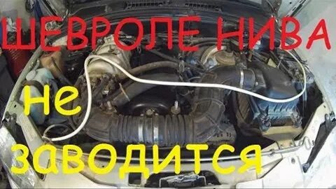 Нива шевроле глохнет на холостых причины