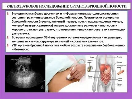 Где сделать узи брюшной полости почек