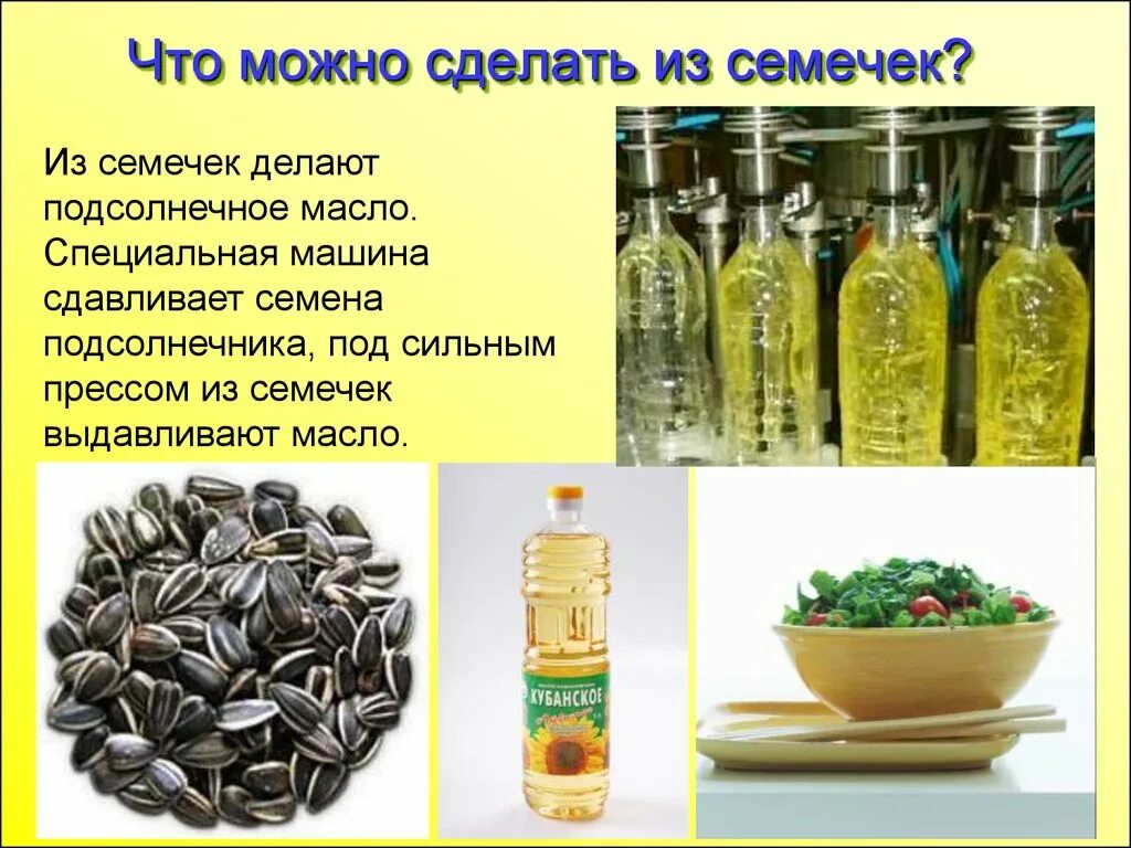 Растительные масла из семян. Масло из семечек подсолнуха. Что делают из семечек. Из чего изготавливают растительное масло.