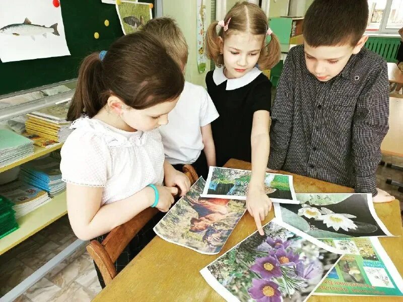 отчет познавательный час. проект для дошкольников. цели и задачи мероприятия. экология для детей дошкольного возраста. отчет познавательный час.