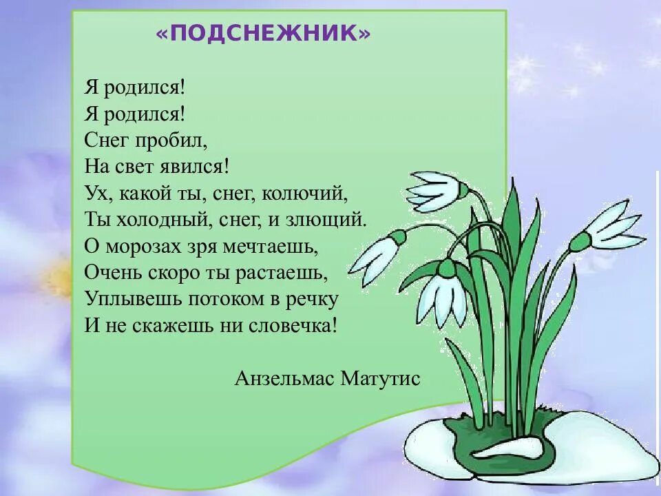 Стих про Подснежник. Стихотворение про Подснежник для детей. Красивые стихи про подснежники. Стих про Подснежник маме. Девиз подснежники