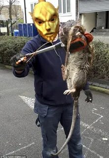 Крысы мутанты