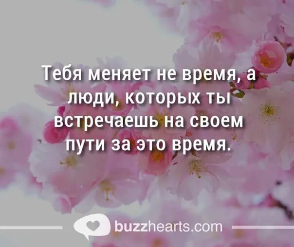 Живи сохраняя покой. Живи сохраняй покой и цветы распустятся сами. Сохраняй спокойствие и цветы распустятся сами.