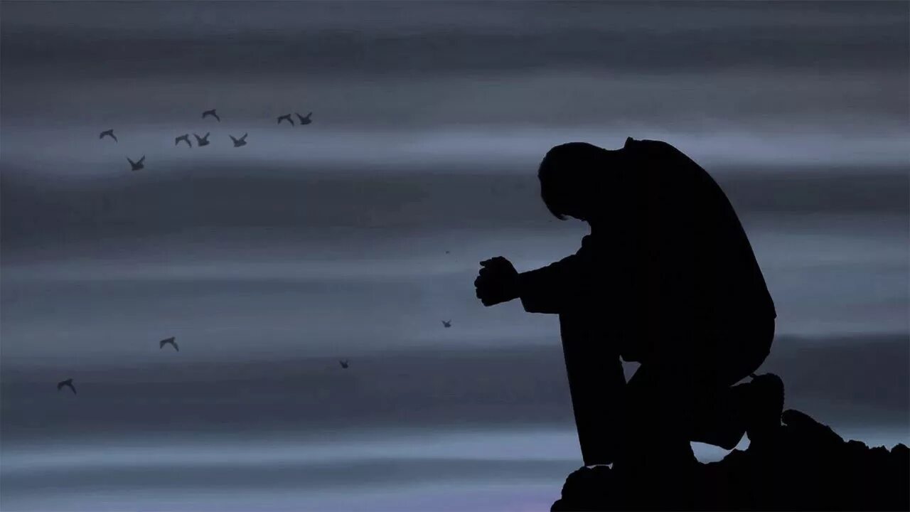 Пред тобой стою. На коленях я стою и прошу. На коленях я стою и прошу. Молящийся на закате. Парень на коленях.