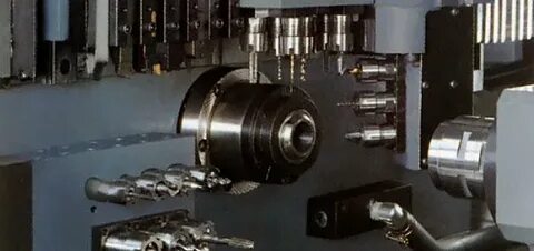 Gim29