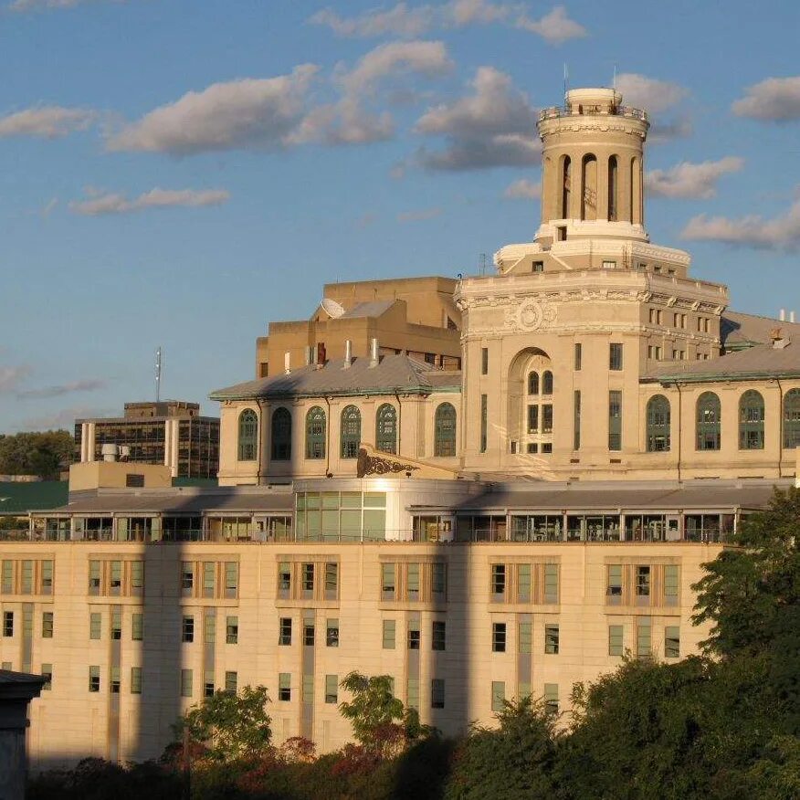 Carnegie university