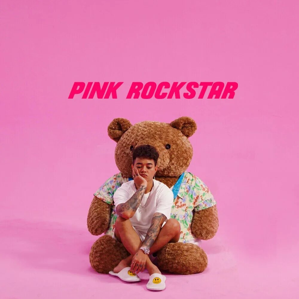 Мама поп стар. Pink albums. Pink Rockstar. Музыка розовый. Пинк новый альбом.