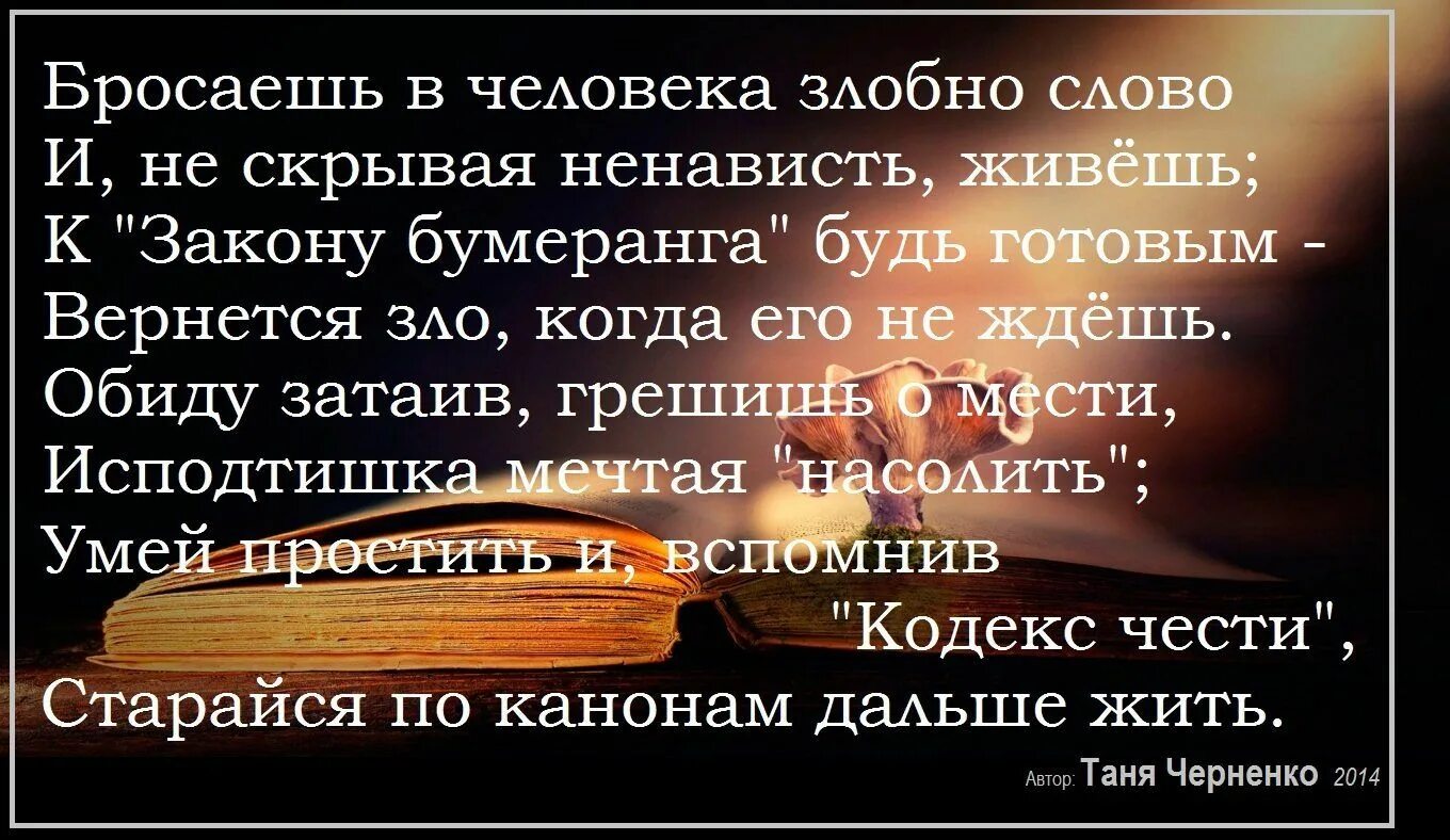 Злой человек книга. Цитаты о реинкарнации. Цитаты недобрых людей. Высказывание про Перерождение.. Слова о злых людях.