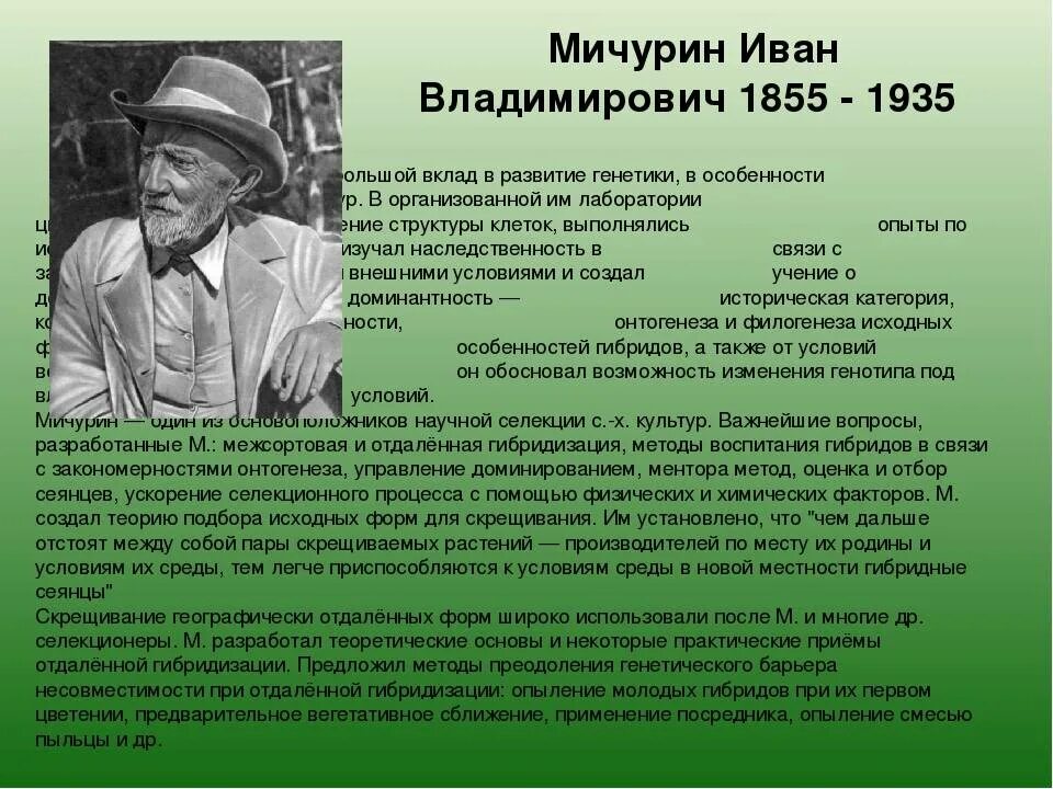 Работа мичурина селекция. Работа мичурина селекция
