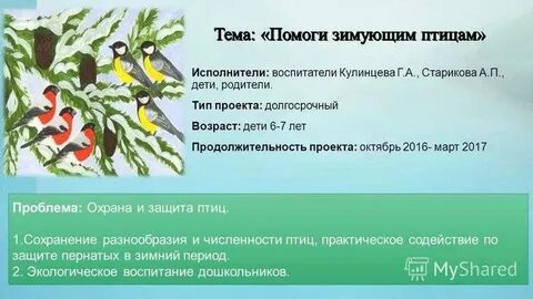Экологический проект долгосрочный
