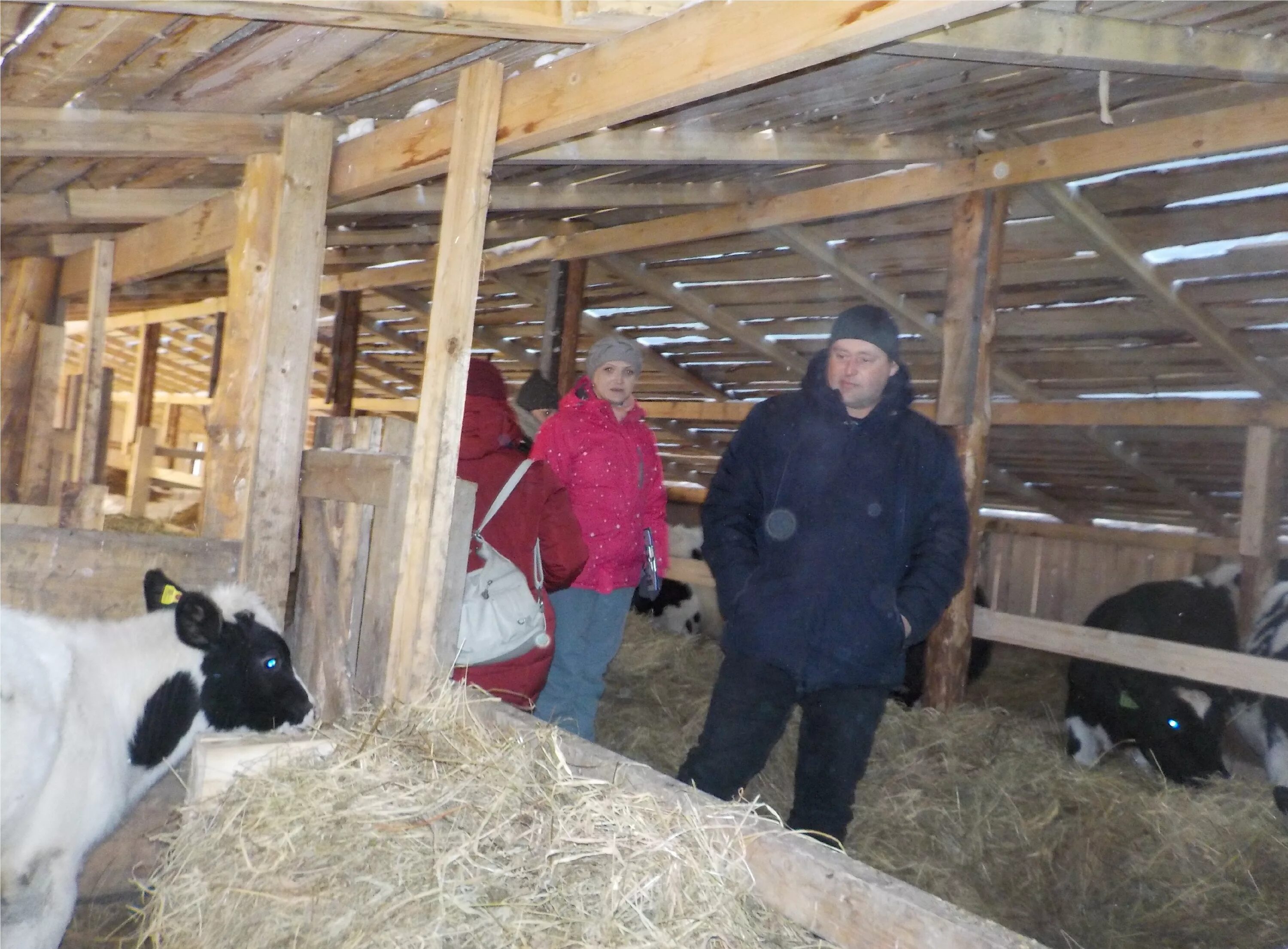 3 фермер кфх. 5. ряженка залесский фермер. кефир залесский фермер 3. кефир фермерский 2,5% залесский фермер.