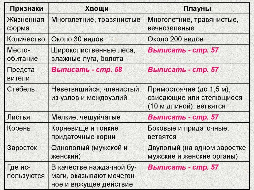 Жизненная форма хвощевидных. Жизненная форма хвощевидных