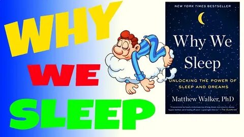 Do we sleep