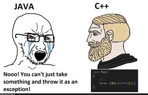 Chad C vs virgin Java ProgrammerHumor io.
