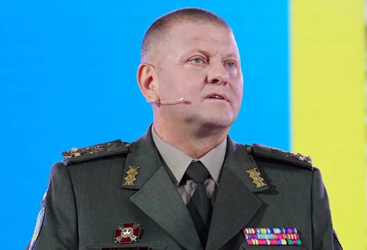 Валерием федоровичем залужным. Валерием федоровичем залужным