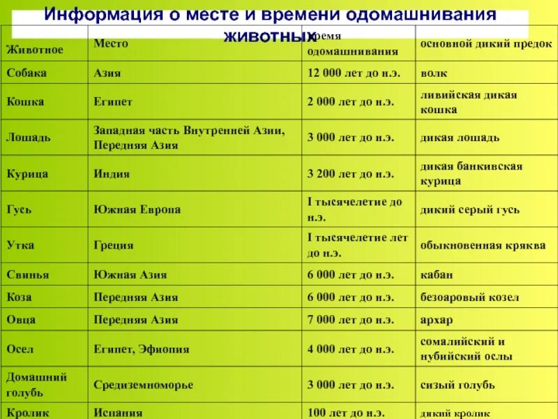 В течении многих тысячелетий. Центры происхождения животных. Центры одомашнивания диких животных. Центры доместикации животных таблица. Центры одомашнивания животных таблица.