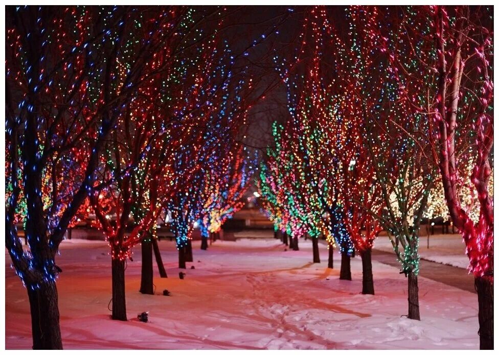 гирлянды в лесу. гирлянда на елку. электрогирлянда 200 ламп led свечки 12,6м мультиколор sycl-008. гирлянда на дереве. новогодние окна украшенные.