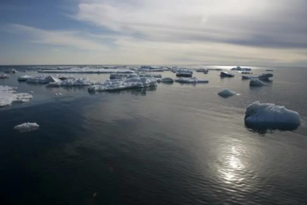 Таяние Арктики. Арктика раньше. Ледовитость белого моря.