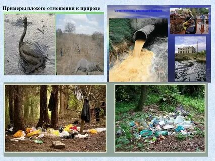 Изменение отношения к природе