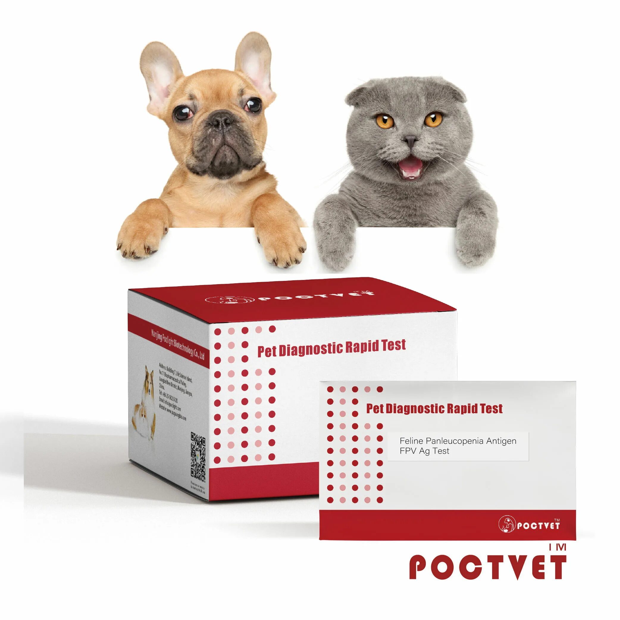 Таблетки от фипа кошек. Gs фип кошек. Mutian лекарство для кошек. Gs фип кошек. Gs фип кошек.