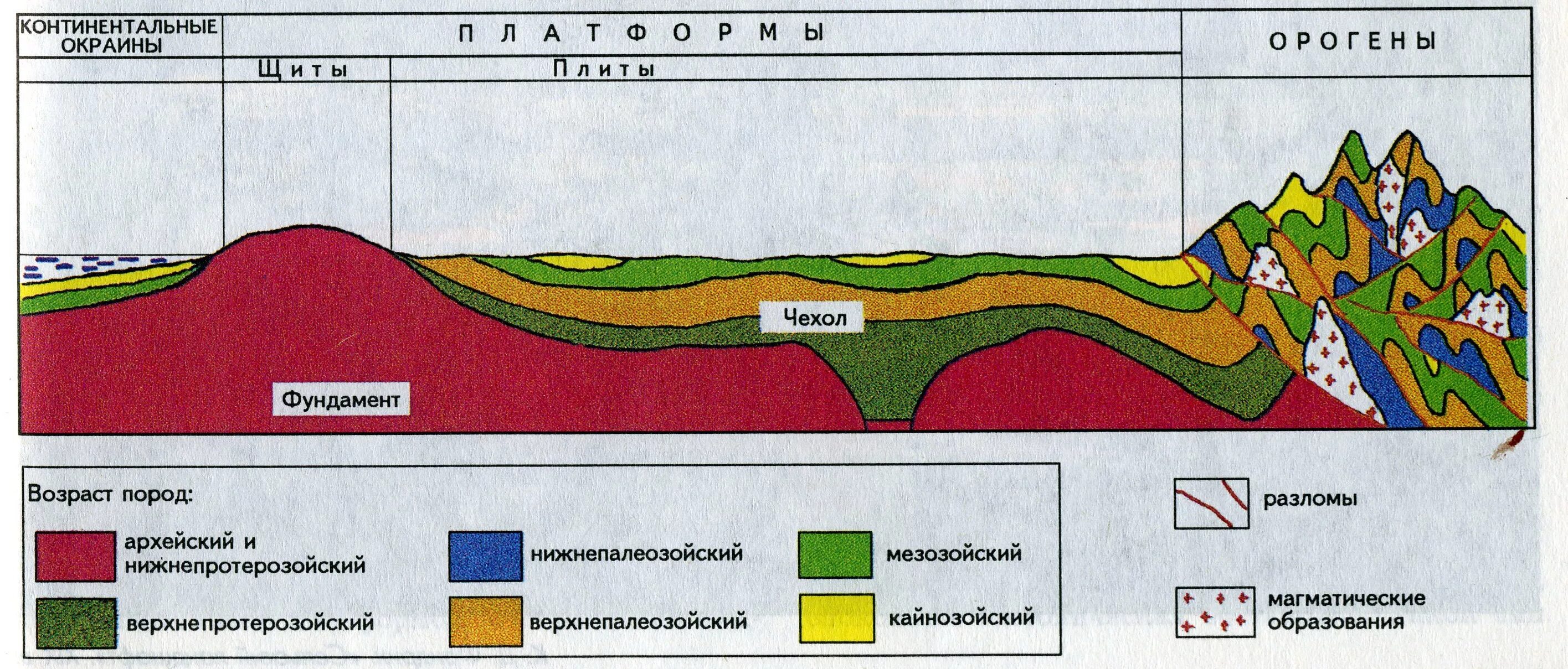 Строение платформы земной коры. Основные типы тектонических структур схема. Схема платформы земной коры. Строение платформ Геология. Чехол древних платформ