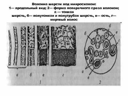 Слой шерстяного волокна