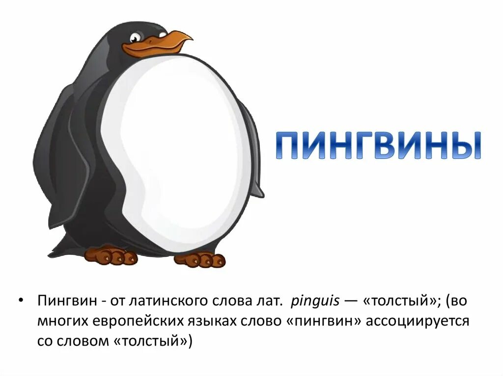 Сколько слогов в слове пингвин. Слово пингвин. толстый пингвин. пингвин карточки для детей. отряд пингвины.