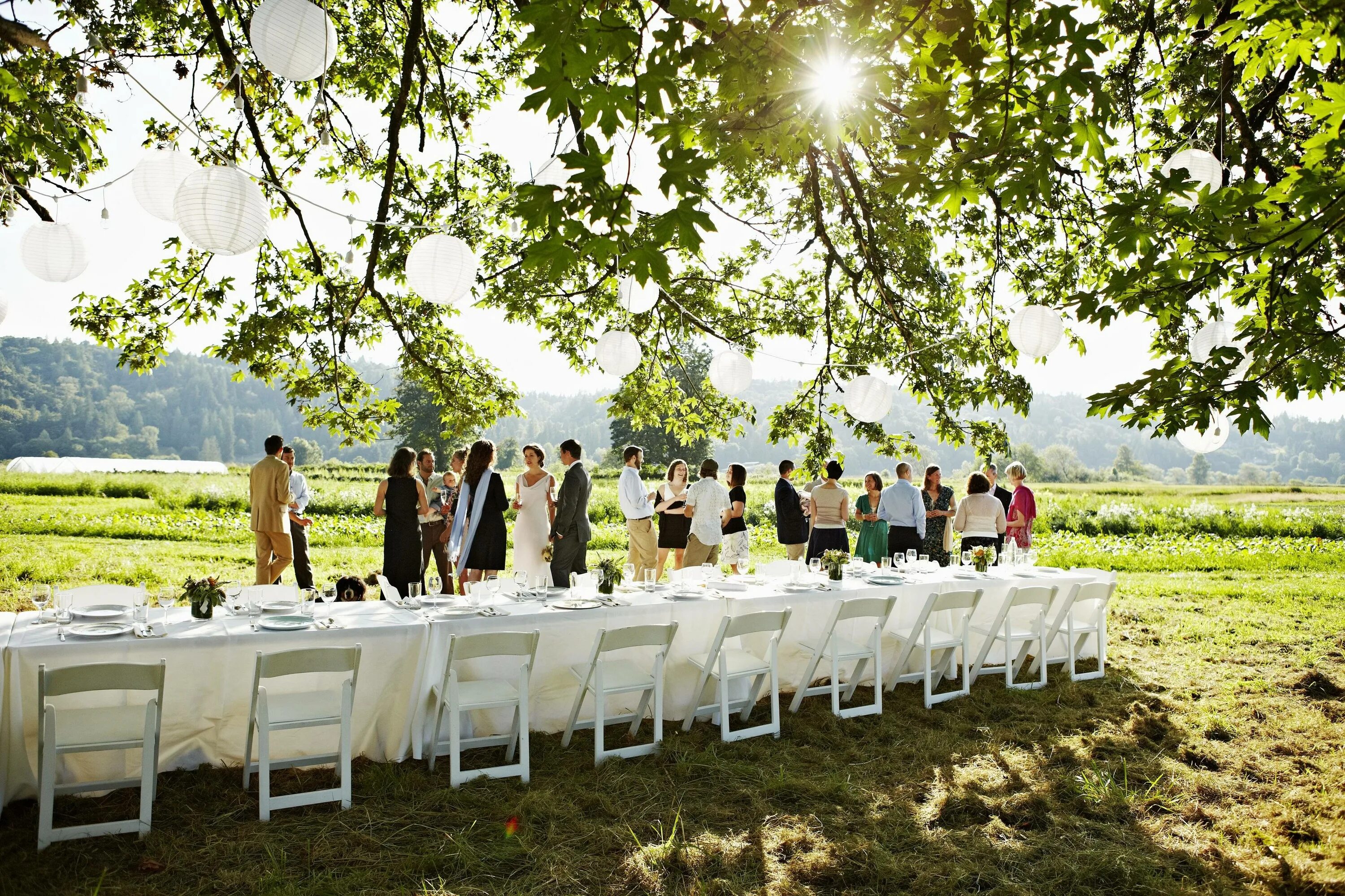 Свадьба на 50 человек we wed. Свадьба на природе. Свадебный банкет на природе. Стол на свадьбу на природе. Свадебная вечеринка на природе.
