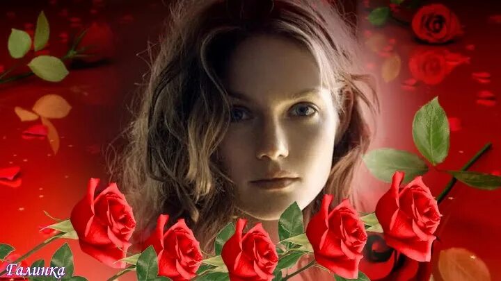 Розочка слушать. Она любила розы. Она любила розы видеоклип. Оно любило розы. Она любила розы слушать.