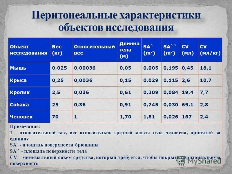 Н б оценка