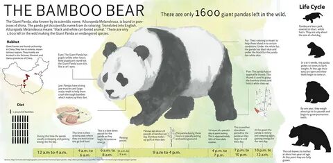Pandas period