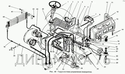 Порно қара мүше ауызға
