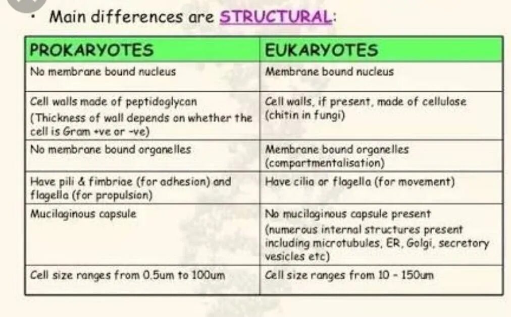 Differences between eukaryotes and prokaryotes. Differences between prokaryotic and eukaryotic Cells. Compare prokaryotic and eukaryotic Cells.. The difference of eukaryotic and prokaryotic Cells.